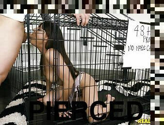 Horny Baldhead Guy Fucks An Alluring And Wicked Caged Pussy