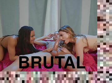 estilo-cão, orgia, cona-pussy, babes, louca, dedos, oral, namorado, brutal, bisexual