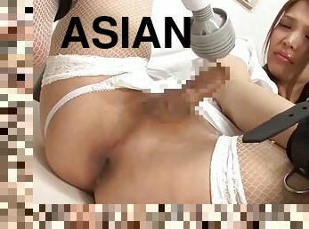 asiatique, transsexuelle, ladyboy