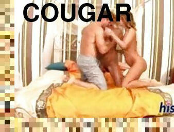 amatør, vintage, cougar