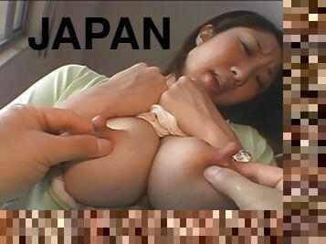 japoneza, lapte, lactatind