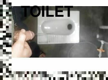 urina, toilette