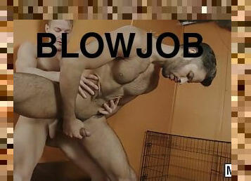 blowjob-seks-dengan-mengisap-penis