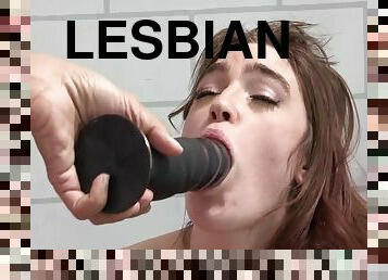 Dirty Lesbian Bitches Love Fucking Asses With Sex Toys