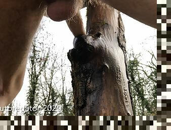 poilue, masturbation, en-plein-air, amateur, énorme-bite, jouet, gay, cam, voyeur, jeune-18