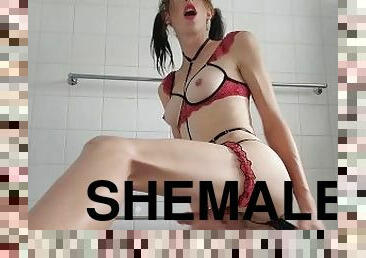 Shemale fucks herself in bathroom at party