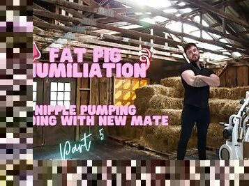 Fat pig humiliation - nipple pump and new breeding mate
