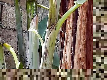 Skinny asian Fuck banana tree 