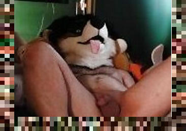 Horny Collie pants as Weredog Skylar toy sinks into him