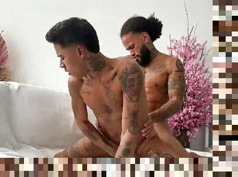 amateur, anal, polla-enorme, interracial, gay, negra, musculada, ojete, gay-joven, tatuaje