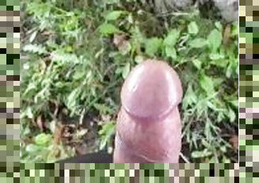 masturbation, public, amateur, ejaculation-sur-le-corps, énorme-bite, branlette, fétiche, solo, forêt, exhibitionniste